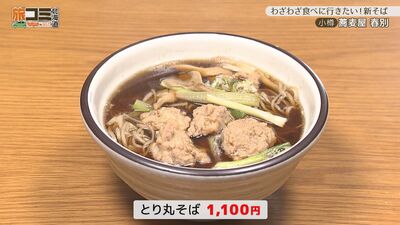 3_shunbetsu_6.jpg
