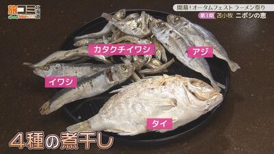 4_niboshi_3.jpg