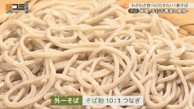 4_shitan_6.jpg
