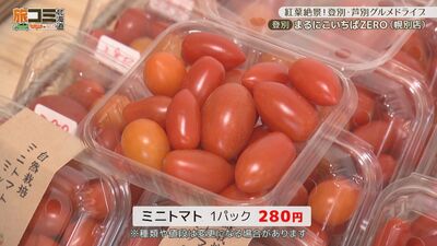 1_maruniko_5.jpg