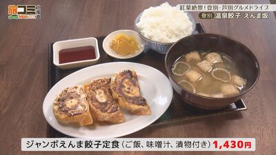 2_gyoza_2.jpg