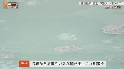 3_oyunuma_2.jpg
