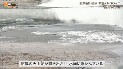 3_oyunuma_3.jpg