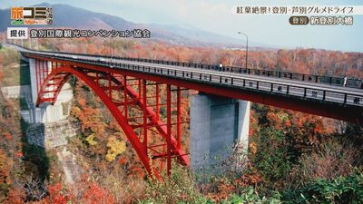 4_ohashi_3.jpg