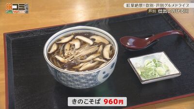 5_hirukawa_2.jpg
