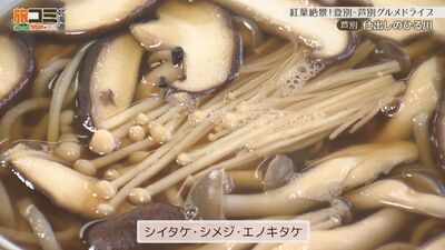 5_hirukawa_3.jpg