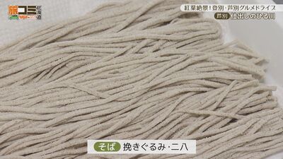 5_hirukawa_6.jpg
