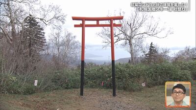 torii.jpg