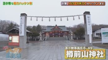 hakken-28_tomamaejinjya01.jpg