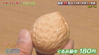 hakken26-ichiriki02.jpg