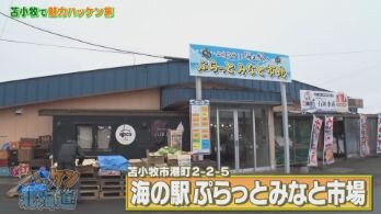hakken27-minatomachiichiba01.jpg