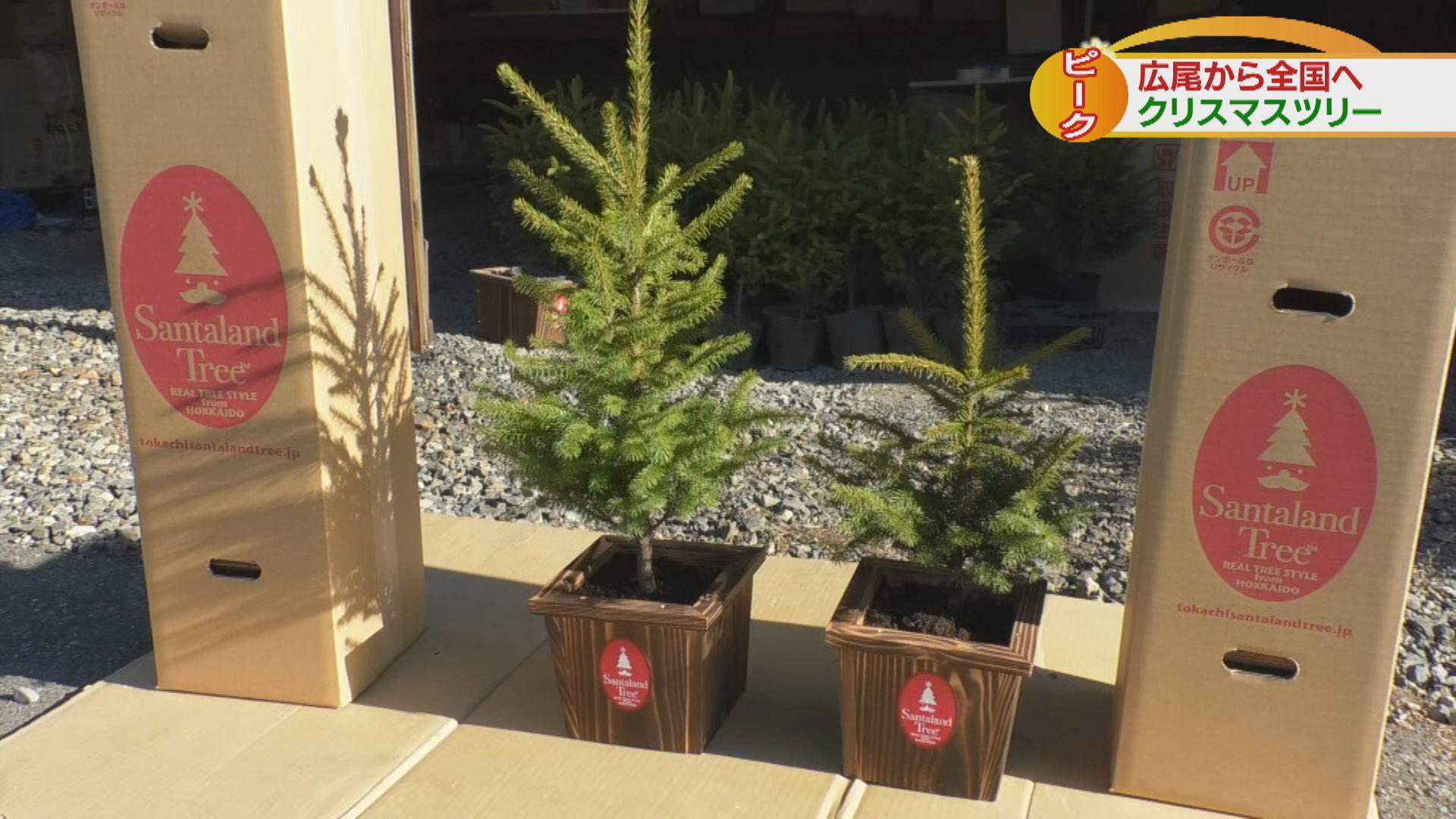 Tvh テレビ北海道