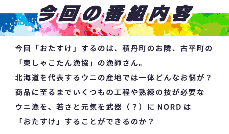 今回の番組内容。今回「おたすけ」するのは、積丹町のお隣、古平町の「東しゃこたん漁協」の漁師さん。北海道を代表するウニの産地では一体どんなお悩みが？商品に至るまでいくつもの工程や熟練の技が必要なウニ漁を、若さと元気を武器(?)にN0RDは「おたすけ」することができるのか？