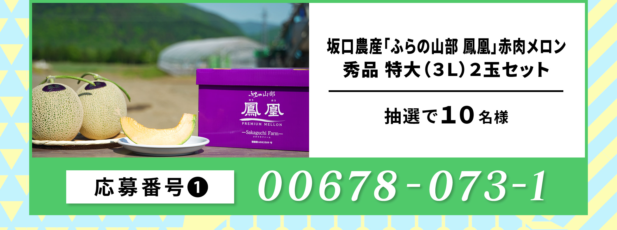 坂口農産「ふらの山部 鳳凰」赤肉メロン 秀品特大（３Ｌ）２玉セット／10名 応募番号：00678-073-1