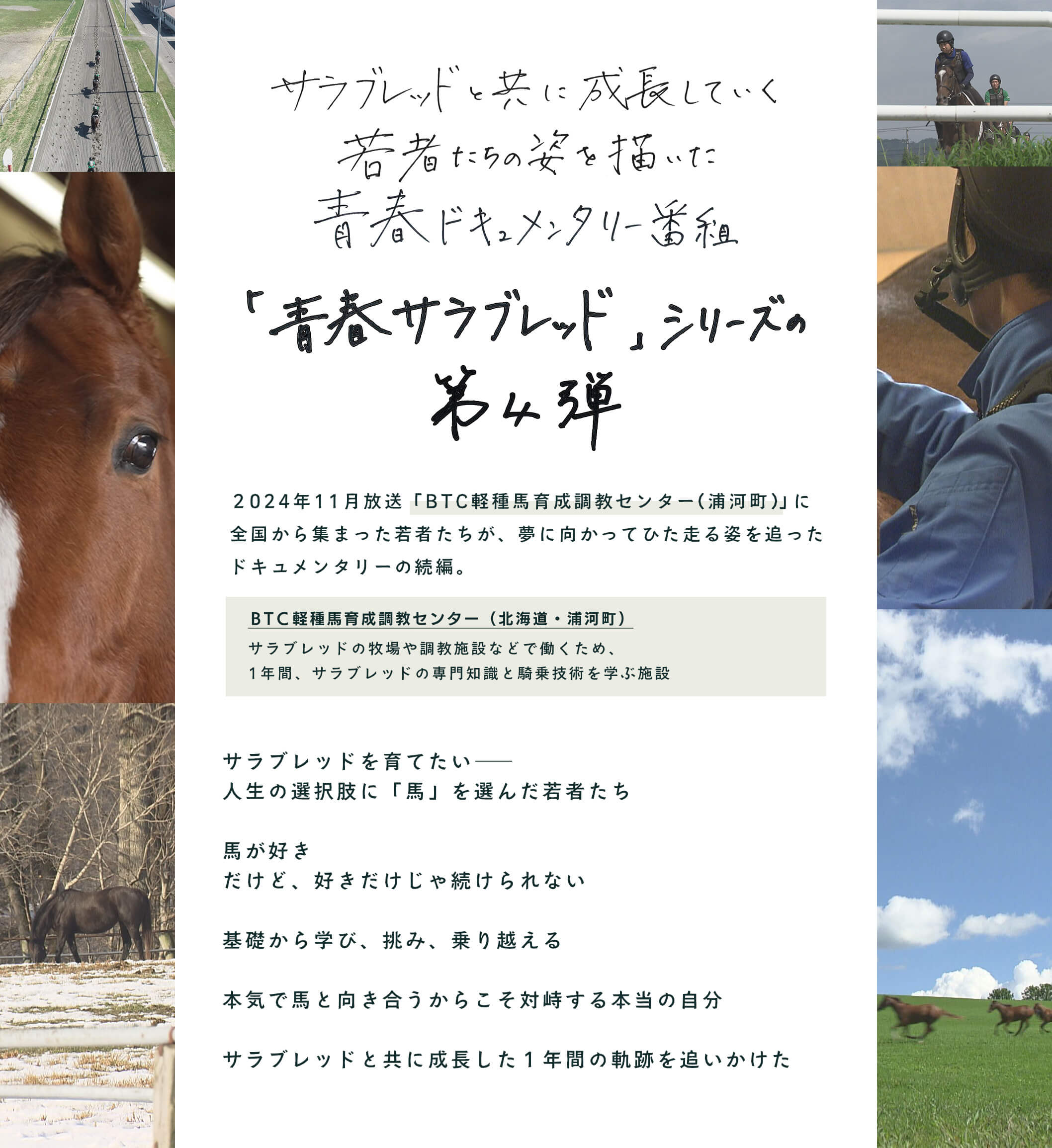運命の出会い サラブレッドにかけた夢 DVD('04関西テレビ 運命の出会い サラブレッドにかけた夢 | ポニーキャニオン