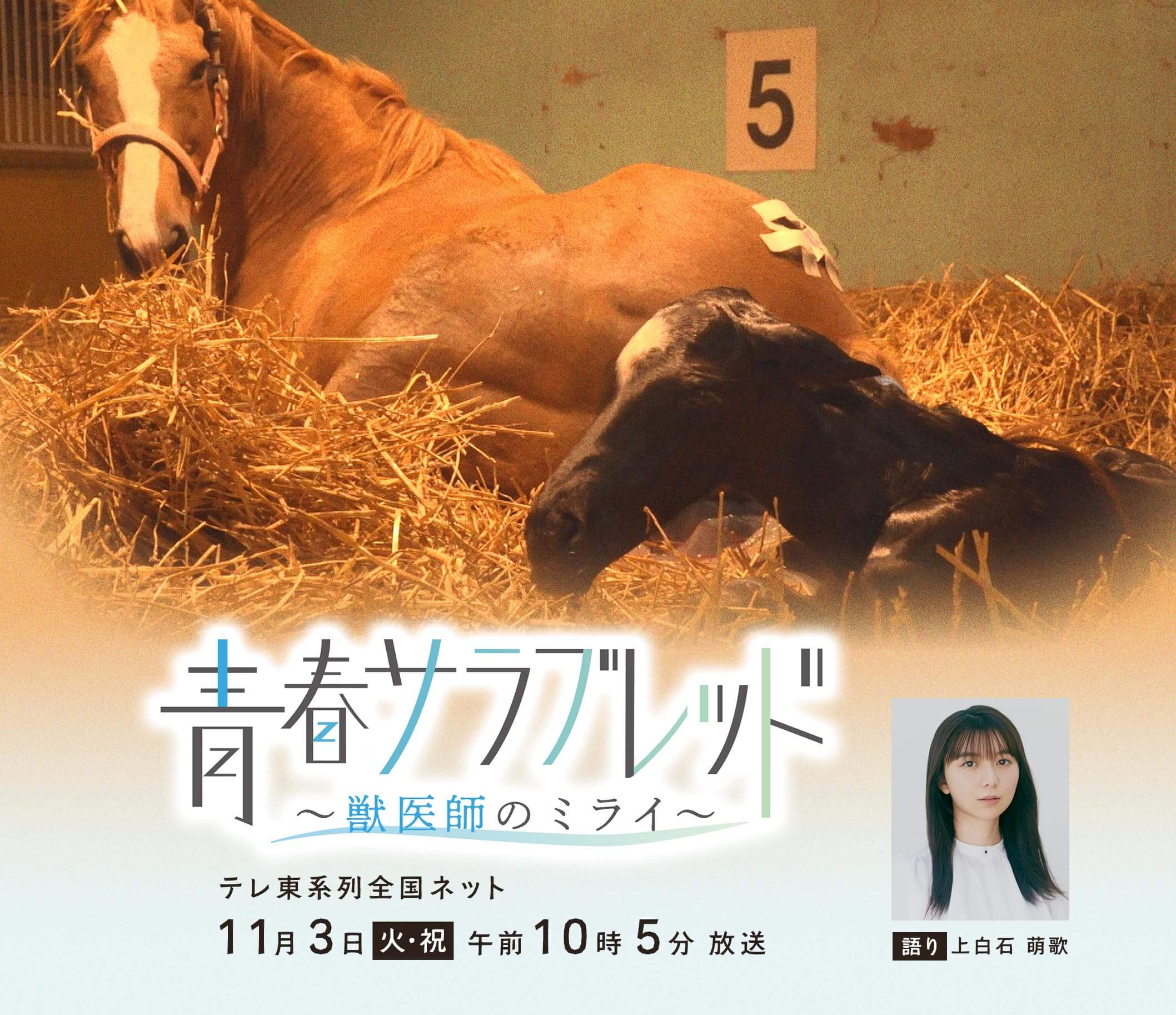 青春サラブレッド　～獣医師たちのミライ～
