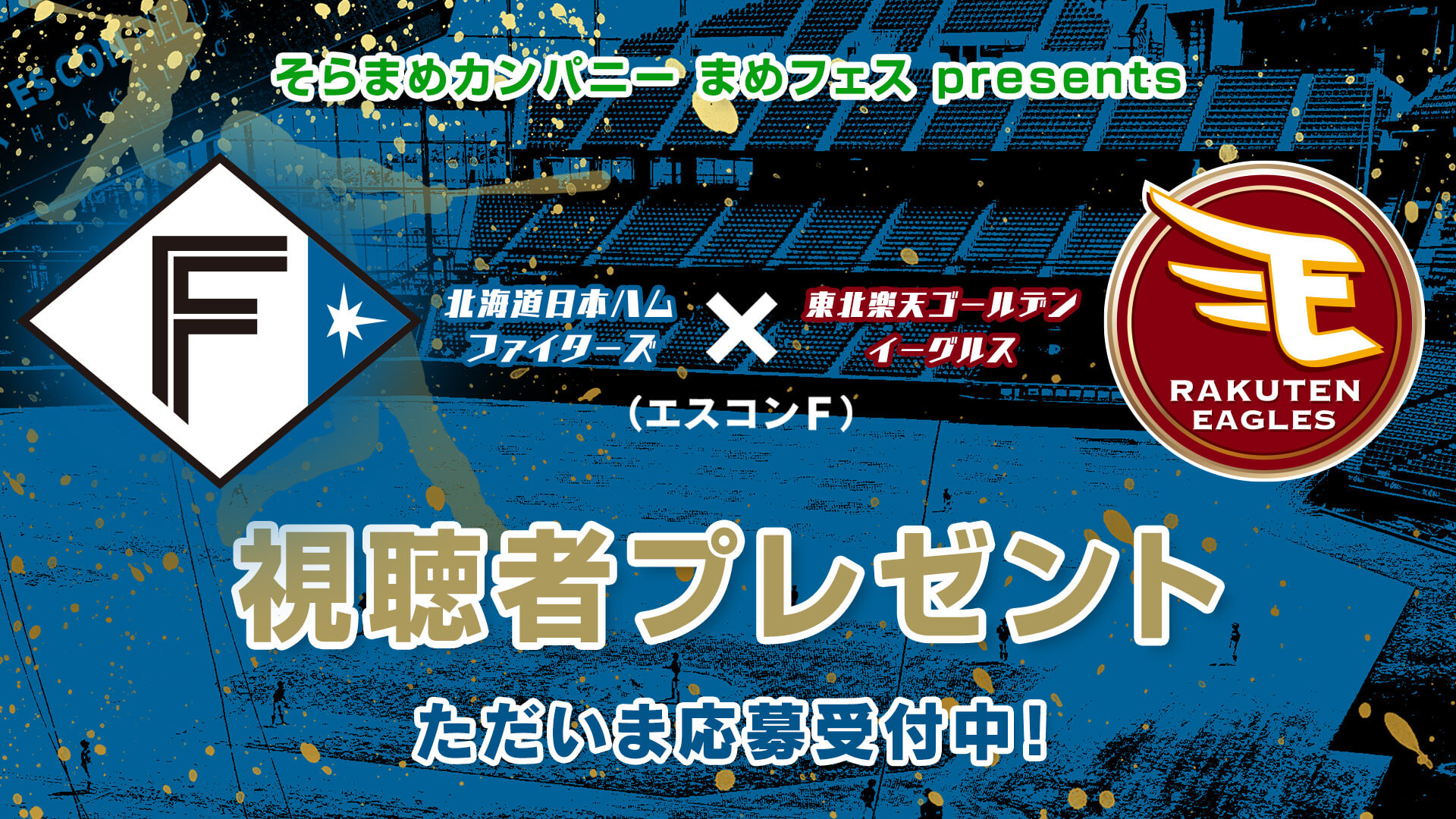 視聴者プレゼント