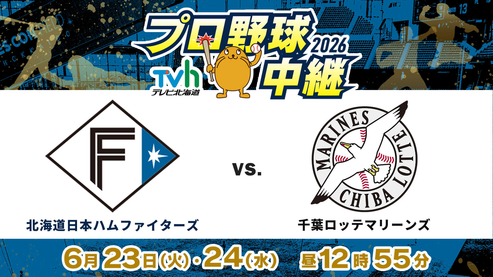  TVhプロ野球中継