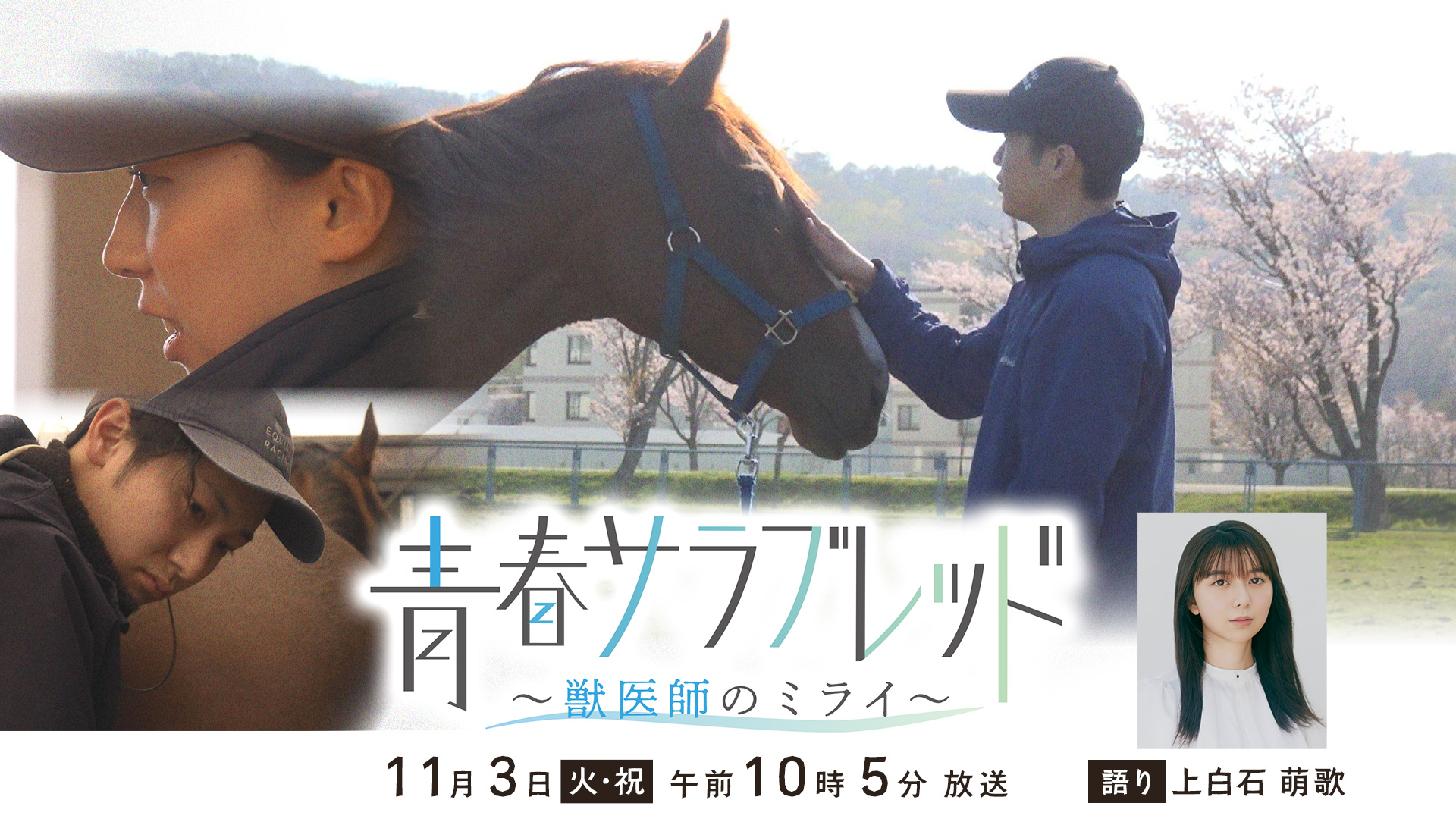 青春サラブレッド　～獣医師のミライ～