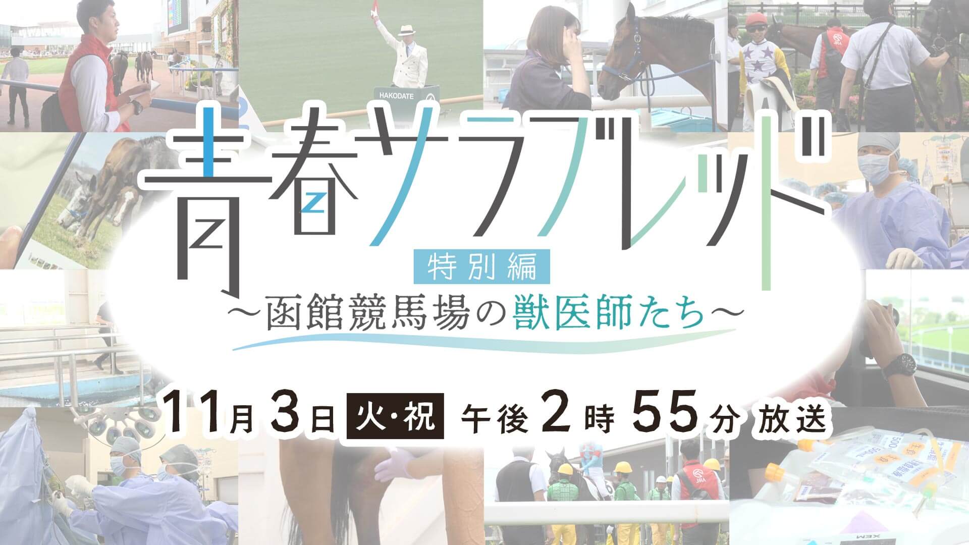 青春サラブレッド　～函館競馬場の獣医師たち～